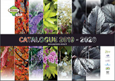 Catalogue Minier Solutions Pro 2019